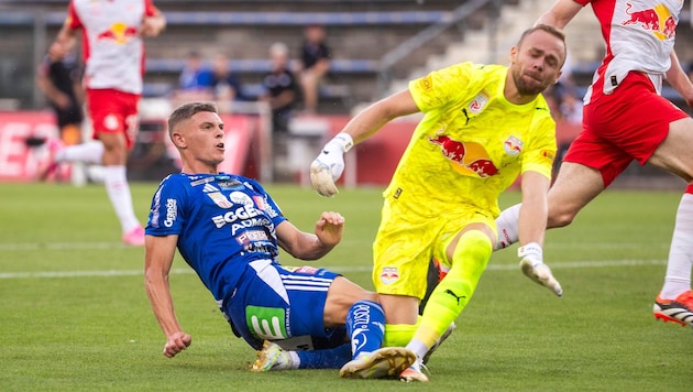 Elias Havel (li.) fordert heute seinen Ex-Klub Red Bull Salzburg (Alexander Schlager).