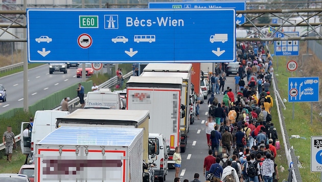 Tausende Syrer haben seit der großen Flüchtlingswelle 2015 Schutz in Österreich gesucht. Wie sie ...