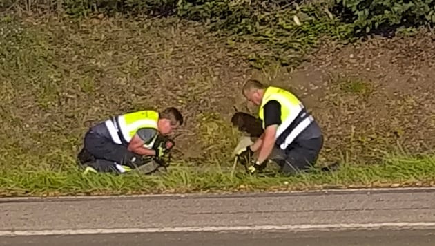 Mit vereinten Kräften versuchten die Einsatzkräfte die Katze zu befreien.