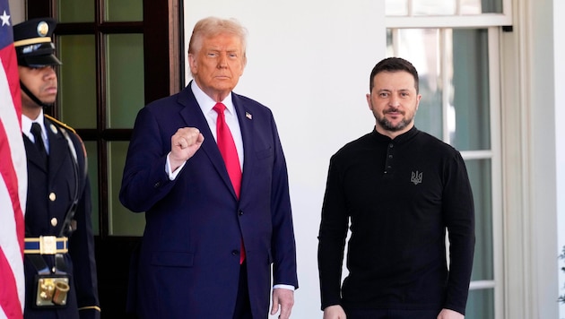 Donald Trump mit Wolodymyr Selenskyj bei einem Treffen im Februar im Weißen Haus in Washington