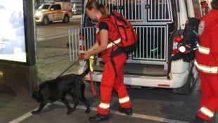 Auch Teams der Rettungshundebrigade waren bei der Suche nach der kranken Pensionistin im ...