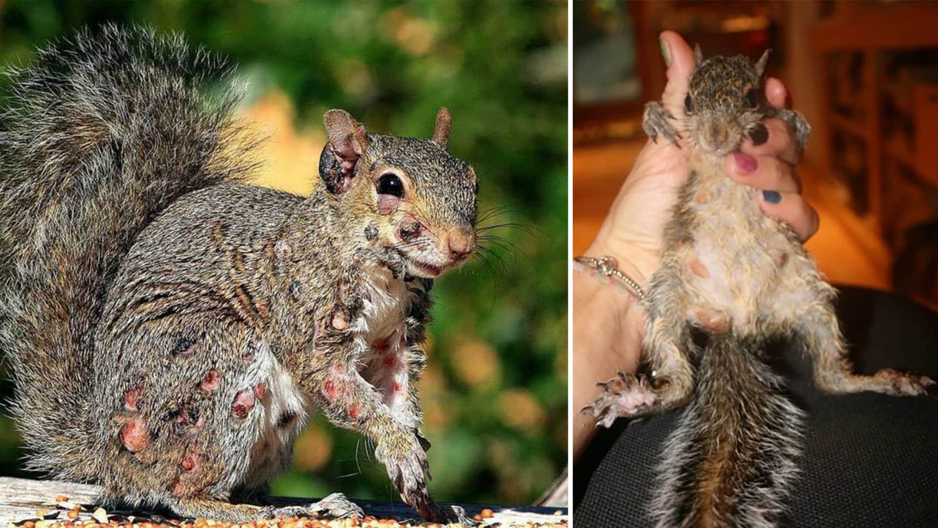 Christina khalil pov In Christina Khalil, Onlyfans.