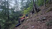 An der Unfallstelle wurden zunächst die schweren Verletzungen behandelt.