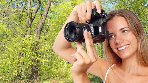 Mit der Kamera auf Motiv-Jagd im Wienerwald. Die besten Fotos sehen Sie hier.