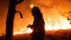 Spanien erlebte im Vorjahr seine bisher schlimmste Waldbrandsaison aller Zeiten.