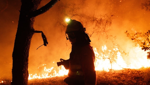 Spanien erlebte im Vorjahr seine bisher schlimmste Waldbrandsaison aller Zeiten.