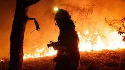 Spanien erlebte im Vorjahr seine bisher schlimmste Waldbrandsaison aller Zeiten.