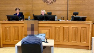 Das Richterinnenduo Claudia Bandion-Ortner und Michaela Sanin konfrontiert den angeklagten ...