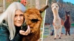 Jasmin Lechner vom Alpakahof in Bromberg – die aktuelle Schließung wird von der Familie genutzt, ...