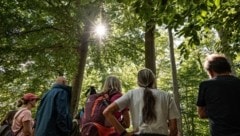 Zum 100-Jahr-Jubiläum laden die Bundesforste zu Führungen in den Wald der Zukunft.