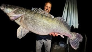 Fischzüchter Johann Poganitsch mit dem knapp neun Kilo schweren Zander.