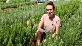 Die Gärtnerei Krobath ist auf den Kräuteranbau und -verkauf spezialisiert.