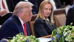 Selenskyj sei mehr ihr Typ, gestand Meloni.