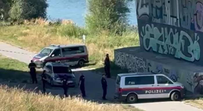 Die männdliche Leiche wurde zwischen Nordbrücke und Floridsdorfer Brücke entdeckt.