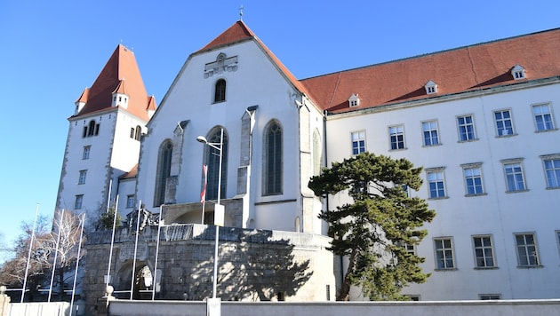 Absolventen der Theresianischen Militärakademie in Wiener Neustadt werden zu schlecht bezahlt, ...