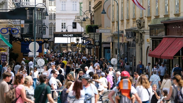 Mehr als 11.600 Menschen wurde im ersten Halbjahr die Staatsbürgerschaft verliehen.