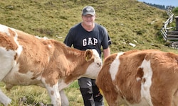 Peter Rozmann hütet und versorgt vier Monate lang 92 Tiere, die auf der Alm gehalten werden.