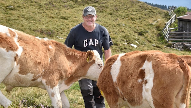 Peter Rozmann hütet und versorgt vier Monate lang 92 Tiere, die auf der Alm gehalten werden.