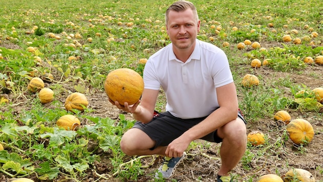 Jungbauer Michael Konrad aus Kalsdorf erwartet je nach Acker unterschiedliche Erträge.