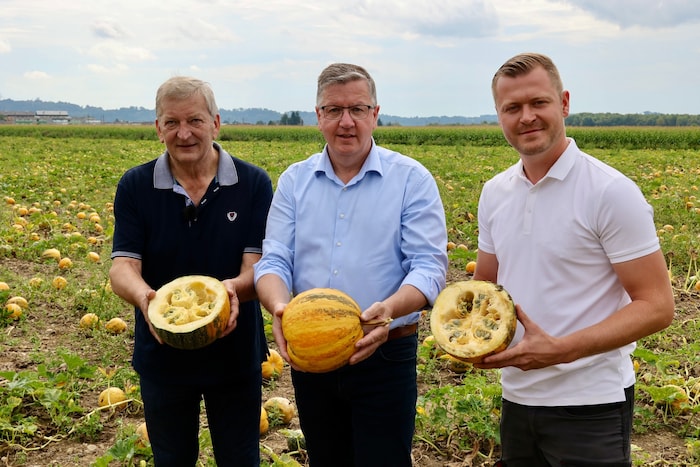 Franz Labugger (Obmann Gemeinschaft Steirisches Kürbiskernöl), Landwirtschaftskammer-Boss ...