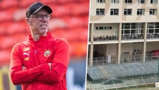 Peter Stöger freut sich auf die Unterstützung der Fans.