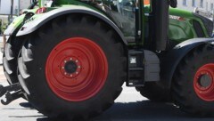 Die Landmaschine war quer durch ein Maisfeld unterwegs (Symbolbild).