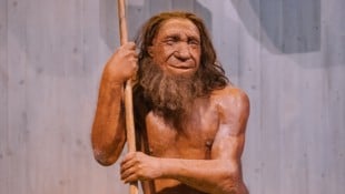 Neandertaler und moderne Menschen hatten wohl schon vor 140.000 Jahren Sex miteinander.