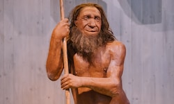 Neandertaler und moderne Menschen hatten wohl schon vor 140.000 Jahren Sex miteinander.