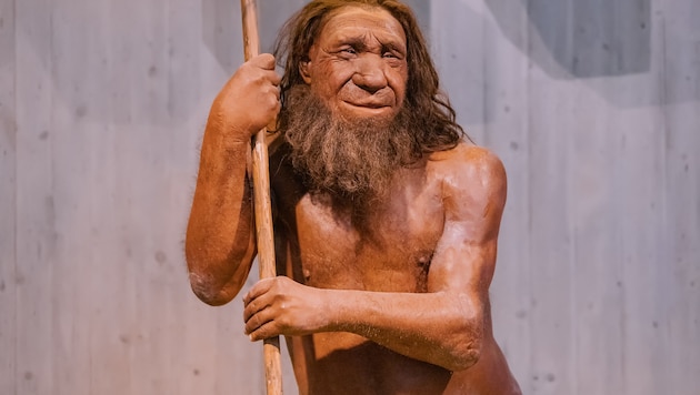 Neandertaler und moderne Menschen hatten wohl schon vor 140.000 Jahren Sex miteinander.