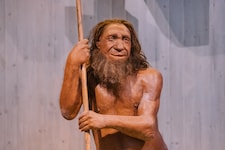 Neandertaler und moderne Menschen hatten wohl schon vor 140.000 Jahren Sex miteinander.