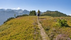 Beeindruckende Ausblicke erwarten die Wanderer bei dieser Tour, die über malerische Bergrücken ...