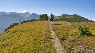 Beeindruckende Ausblicke erwarten die Wanderer bei dieser Tour, die über malerische Bergrücken ...