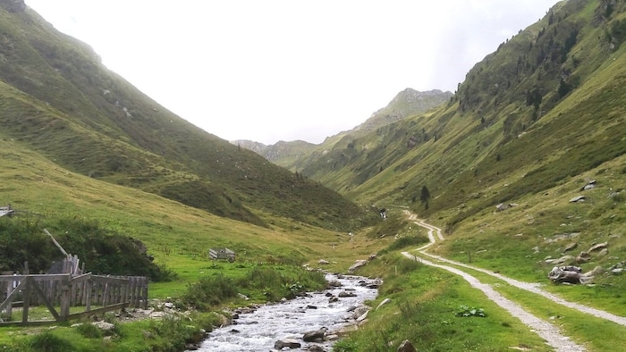 Durch das außergewöhnlich schmale Staudenbergtal verläuft die Route.