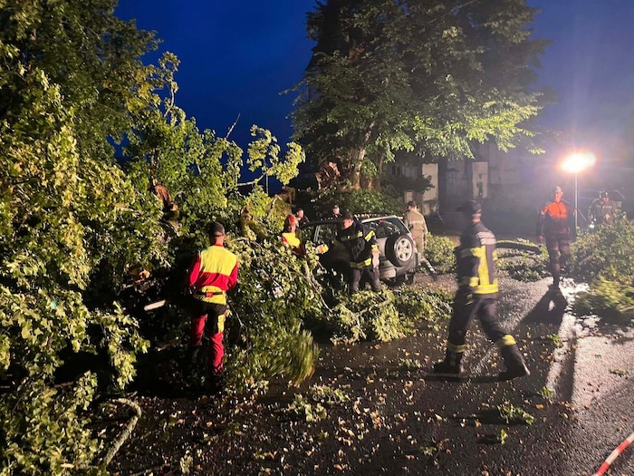 Die Kameraden waren gerade bei der Vollversammlung, als der Baum umstürzte.