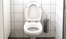 In der Bundeshauptstadt erregt die Kostenpflicht bei WC-Kabinen die Gemüter.