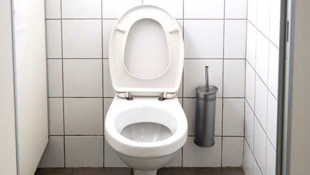 In der Bundeshauptstadt erregt die Kostenpflicht bei WC-Kabinen die Gemüter.