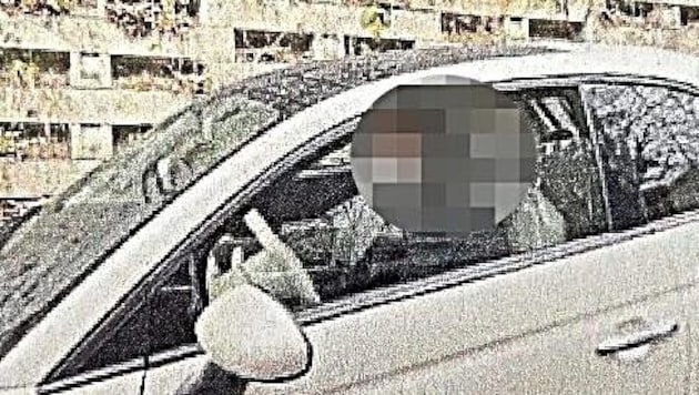 Die Wienerin beobachte manchmal fast rund um die Uhr aus ihrem Auto das Haus ihrer Opfer.