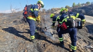 Freiwillige Feuerwehrleute aus NÖ sind in Montenegro und Griechenland im Einsatz.
