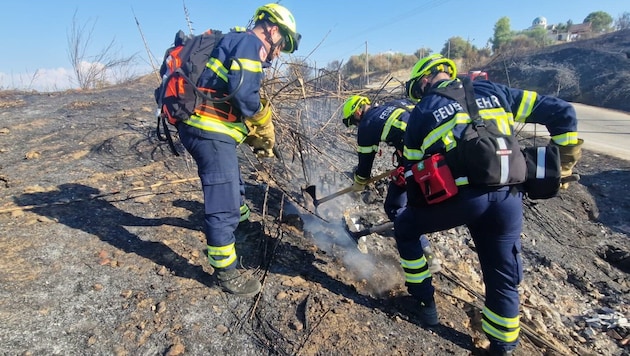 Freiwillige Feuerwehrleute aus NÖ sind in Montenegro und Griechenland im Einsatz.