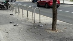 Neun Tauben sind am Donnerstag vor dem Gebäude des Verwaltungszentrums der Landesregierung in ...