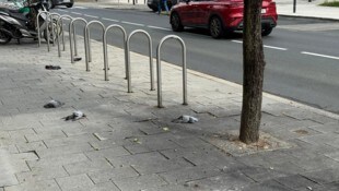 Neun Tauben sind am Donnerstag vor dem Gebäude des Verwaltungszentrums der Landesregierung in ...