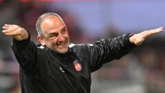 Kult-Trainer Frank Schmidt: Lieber Abstiegskampf mit Heidenheim als „Wüsten“-Millionen.