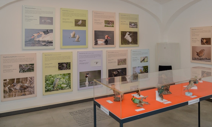 Im Museum im Lavanthaus findet parallel zur Sonderausstellung eine Vogeltagung mit Experten ...