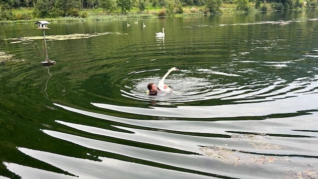Tierretter zogen den Vogel aus dem Wasser.