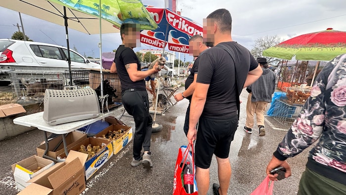 Auf den Straßenmärkten sind Küken in Kisten gepfercht.