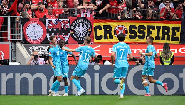 Traumstart für die TSG Hoffenheim und Trainer Christian Ilzer.