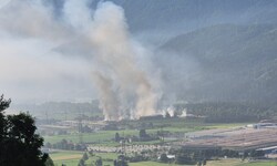 Trotz des starken Rauches untermauern Proben, dass Gemüse kein Risiko darstellt.