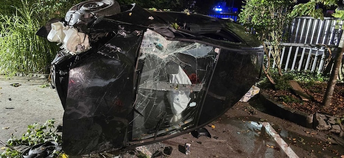 Der Fahrzeuglenker wurde schwer verletzt.