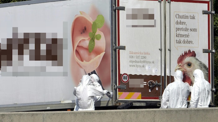 Den Ermittlern, die den Lkw öffneten, bot sich ein grauenhaftes Bild.