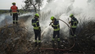 Tagelang halfen unsere Florianis, um Waldbrände am Balkan zu bekämpfen